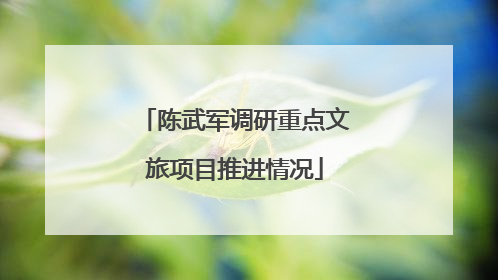 陈武军调研重点文旅项目推进情况