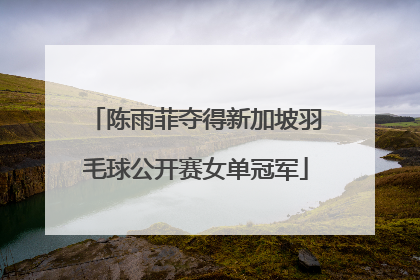 陈雨菲夺得新加坡羽毛球公开赛女单冠军