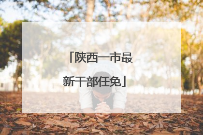 陕西一市最新干部任免