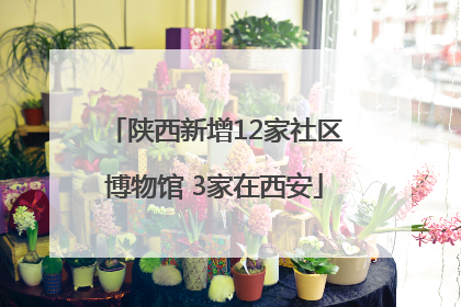 陕西新增12家社区博物馆 3家在西安