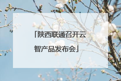 陕西联通召开云智产品发布会