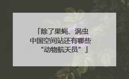 除了果蝇、涡虫 中国空间站还有哪些“动物航天员”