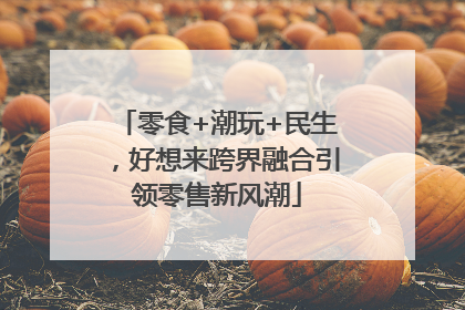 零食+潮玩+民生，好想来跨界融合引领零售新风潮