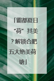 霸都夏日“荷”其美？解锁合肥五大绝美荷塘