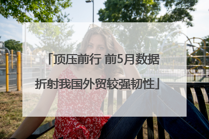 顶压前行 前5月数据折射我国外贸较强韧性
