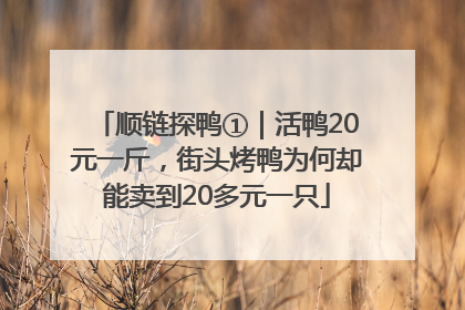 顺链探鸭①｜活鸭20元一斤，街头烤鸭为何却能卖到20多元一只
