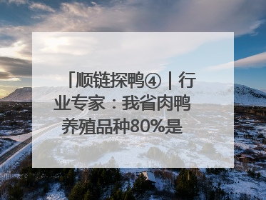 顺链探鸭④｜行业专家：我省肉鸭养殖品种80%是樱桃谷鸭