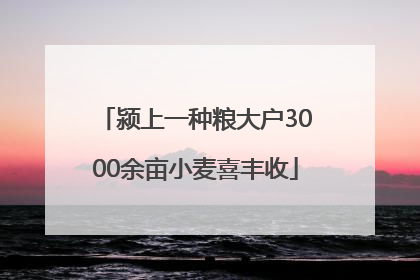 颍上一种粮大户3000余亩小麦喜丰收
