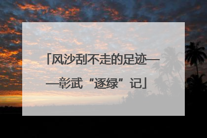 风沙刮不走的足迹——彰武“逐绿”记