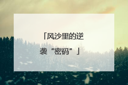 风沙里的逆袭“密码”