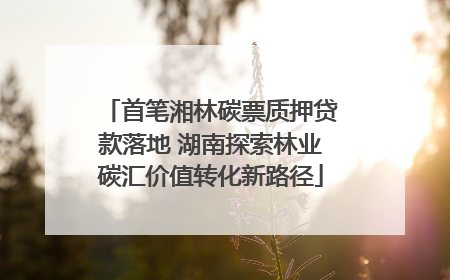 首笔湘林碳票质押贷款落地 湖南探索林业碳汇价值转化新路径