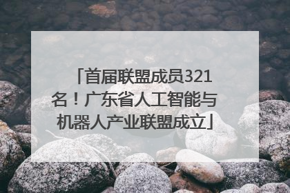 首届联盟成员321名！广东省人工智能与机器人产业联盟成立
