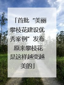 首批“美丽攀枝花建设优秀案例”发布 原来攀枝花是这样越变越美的
