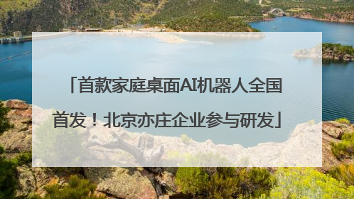 首款家庭桌面AI机器人全国首发！北京亦庄企业参与研发