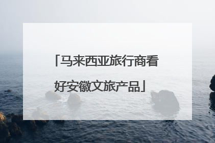 马来西亚旅行商看好安徽文旅产品