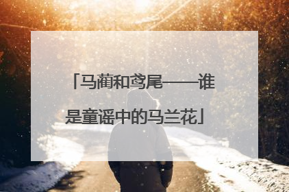 马蔺和鸢尾——谁是童谣中的马兰花