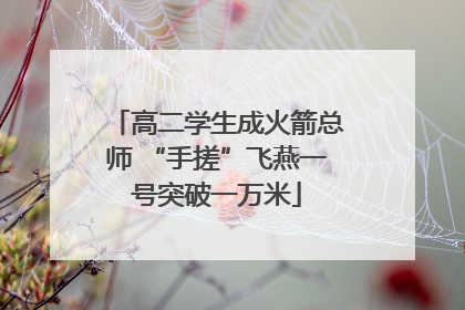 高二学生成火箭总师 “手搓”飞燕一号突破一万米