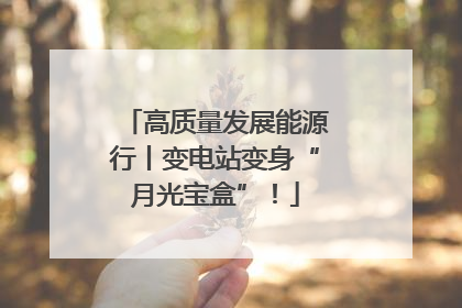 高质量发展能源行丨变电站变身“月光宝盒”！