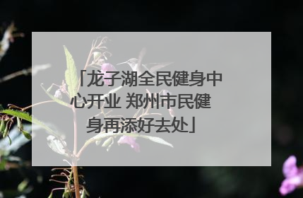 龙子湖全民健身中心开业 郑州市民健身再添好去处