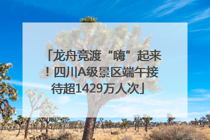 龙舟竞渡“嗨”起来！四川A级景区端午接待超1429万人次
