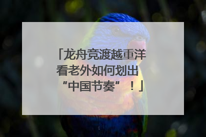 龙舟竞渡越重洋 看老外如何划出“中国节奏”！