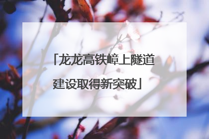 龙龙高铁嶂上隧道建设取得新突破