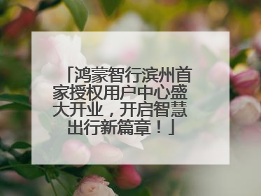 鸿蒙智行滨州首家授权用户中心盛大开业，开启智慧出行新篇章！