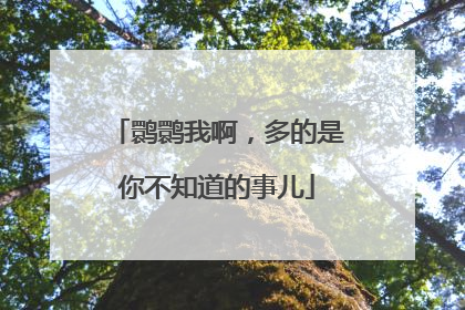 鹮鹮我啊，多的是你不知道的事儿