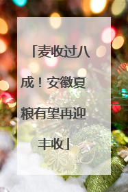 麦收过八成！安徽夏粮有望再迎丰收