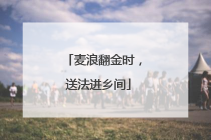 麦浪翻金时，送法进乡间