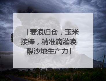 麦浪归仓，玉米接棒，精准滴灌唤醒沙地生产力