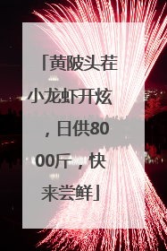 黄陂头茬小龙虾开炫，日供8000斤，快来尝鲜