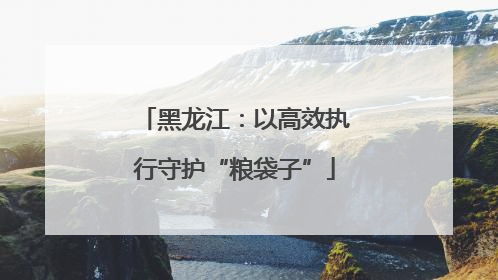 黑龙江：以高效执行守护“粮袋子”