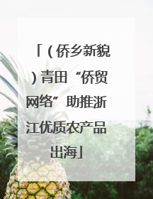 （侨乡新貌）青田“侨贸网络”助推浙江优质农产品出海
