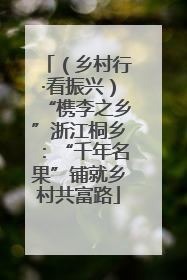 （乡村行·看振兴）“槜李之乡”浙江桐乡：“千年名果”铺就乡村共富路