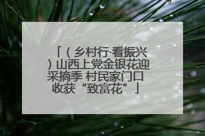 （乡村行·看振兴）山西上党金银花迎采摘季 村民家门口收获“致富花”