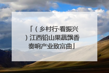 （乡村行·看振兴）江西铅山果蔬飘香 奏响产业致富曲