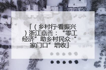 （乡村行·看振兴）浙江嘉善：“零工经济”助乡村民众“家门口”增收