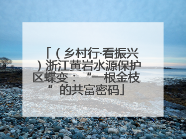 （乡村行·看振兴）浙江黄岩水源保护区蝶变：“一根金枝”的共富密码