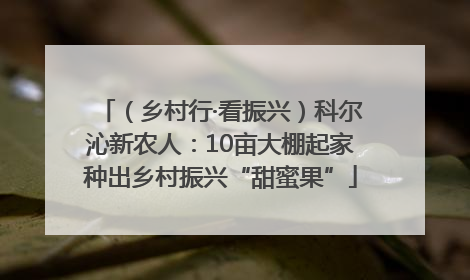 （乡村行·看振兴）科尔沁新农人：10亩大棚起家种出乡村振兴“甜蜜果”