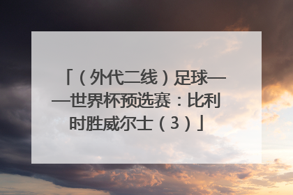 （外代二线）足球——世界杯预选赛：比利时胜威尔士（3）