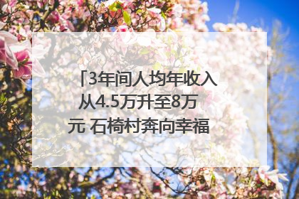 3年间人均年收入从4.5万升至8万元 石椅村奔向幸福好样子｜牵挂的村
