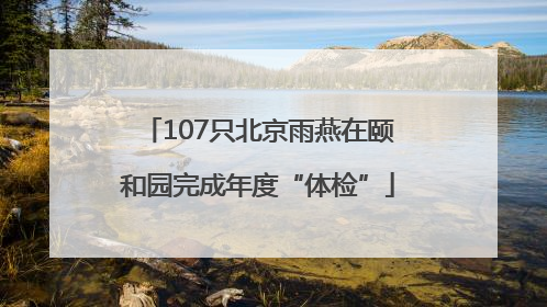 107只北京雨燕在颐和园完成年度“体检”