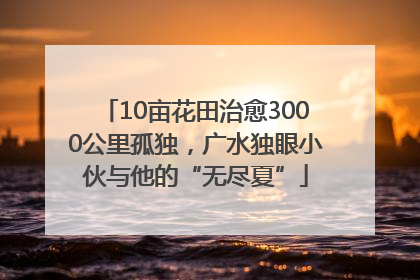 10亩花田治愈3000公里孤独，广水独眼小伙与他的“无尽夏”