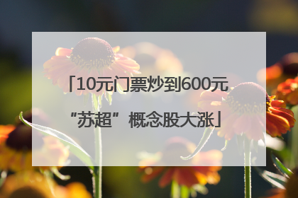 10元门票炒到600元 “苏超”概念股大涨