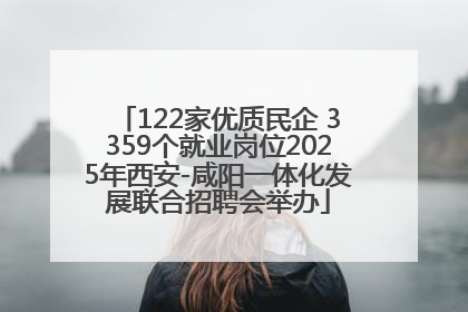 122家优质民企 3359个就业岗位2025年西安-咸阳一体化发展联合招聘会举办