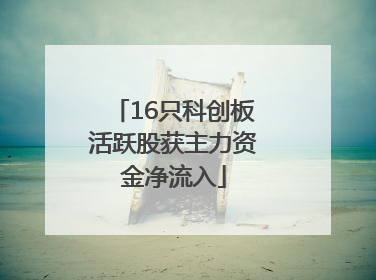 16只科创板活跃股获主力资金净流入