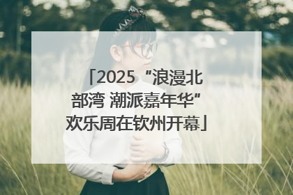 2025“浪漫北部湾 潮派嘉年华”欢乐周在钦州开幕