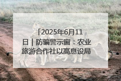 2025年6月11日｜防骗警示窗：农业旅游合作社以高息设局，集资380万