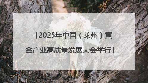 2025年中国（莱州）黄金产业高质量发展大会举行